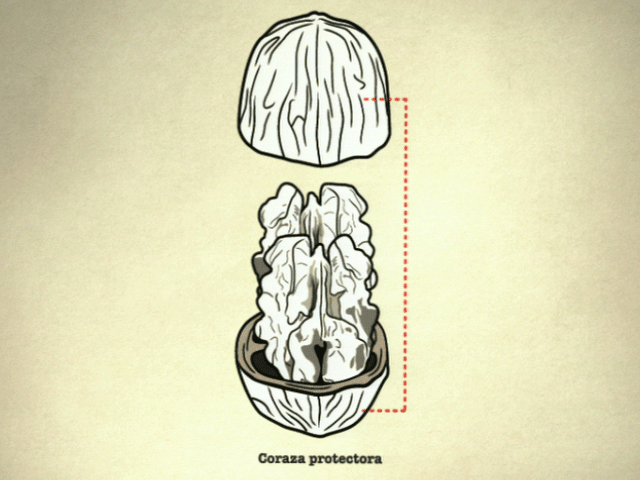 Canal+: armas para salvar el planeta. Campaña Sé Ecoísta.
