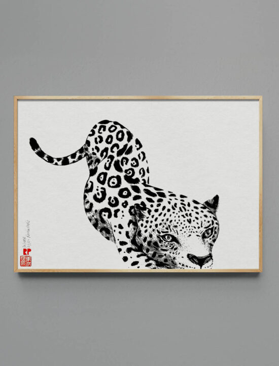 gatus pardus | Ramón París