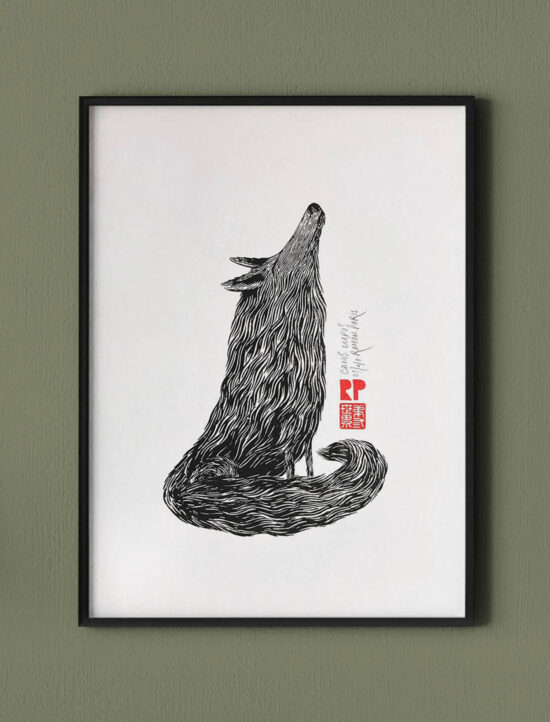 canis lupus | Ramón París