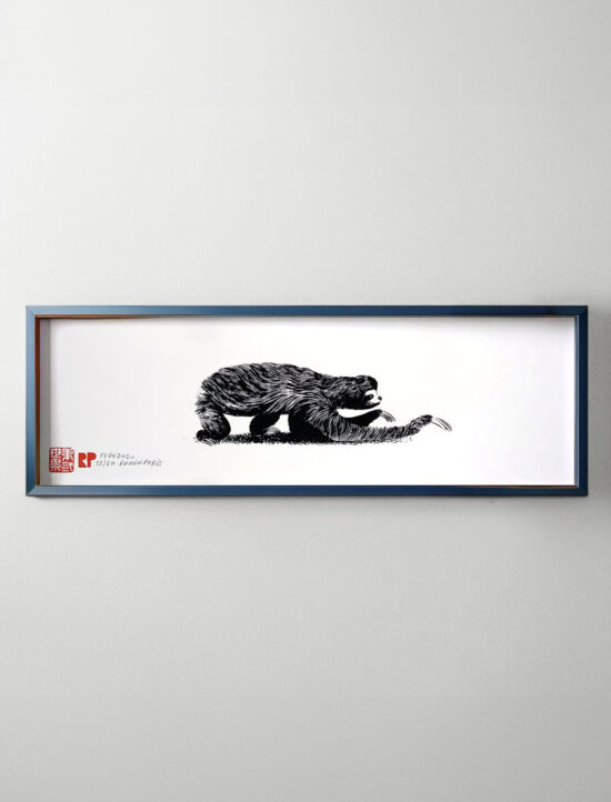 Perezoso | Sloth | Ramón París