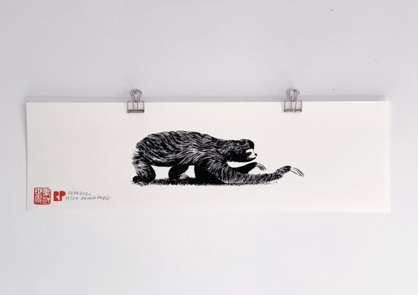 Perezoso | Sloth | Ramón París