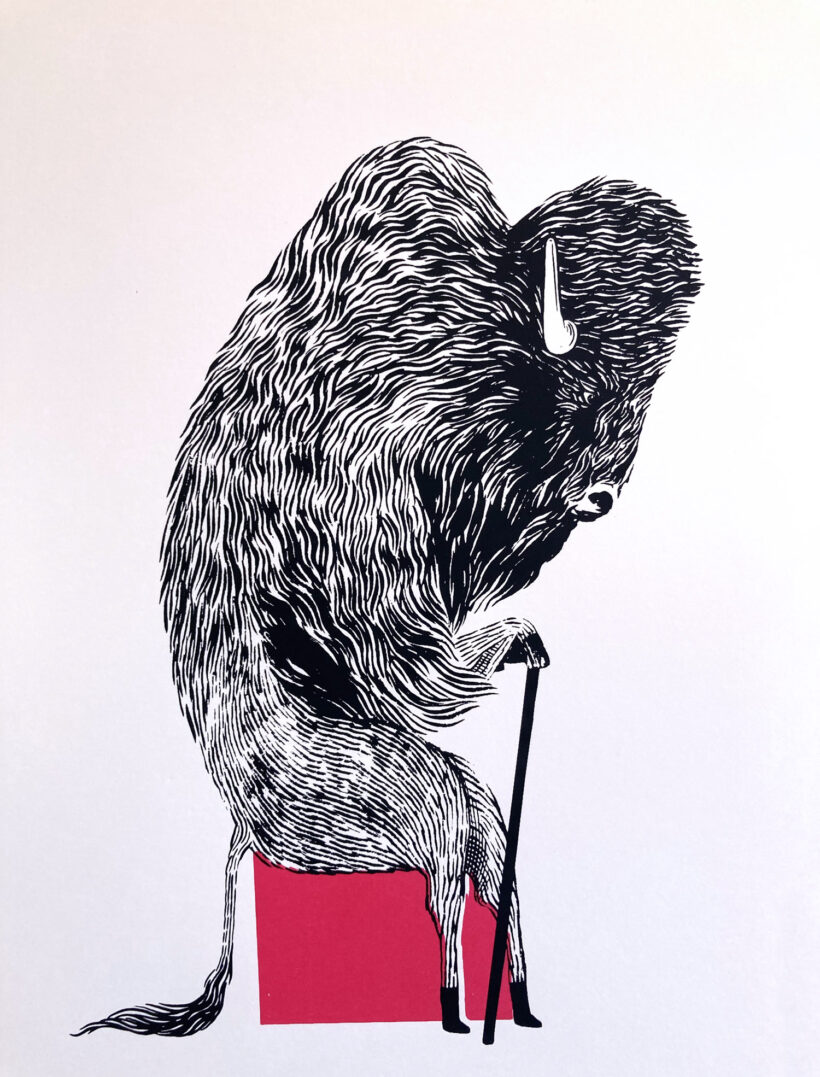 Animales salvajes II |Wild animals IV | Ramón París