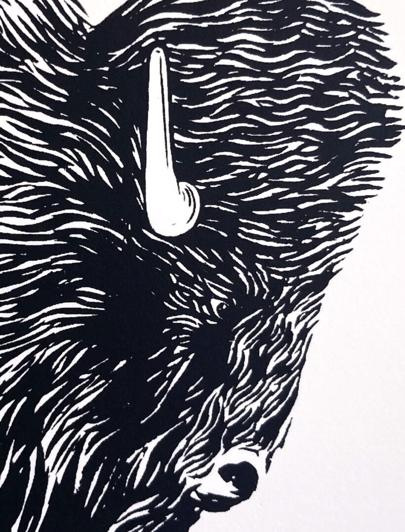 Animales salvajes II |Wild animals IV | Ramón París