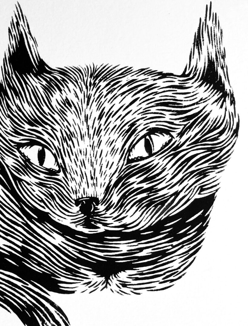 Gato II | Ramón París