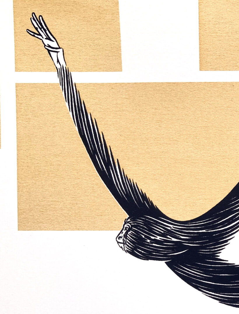 Mondrian Monkey | Ramón París