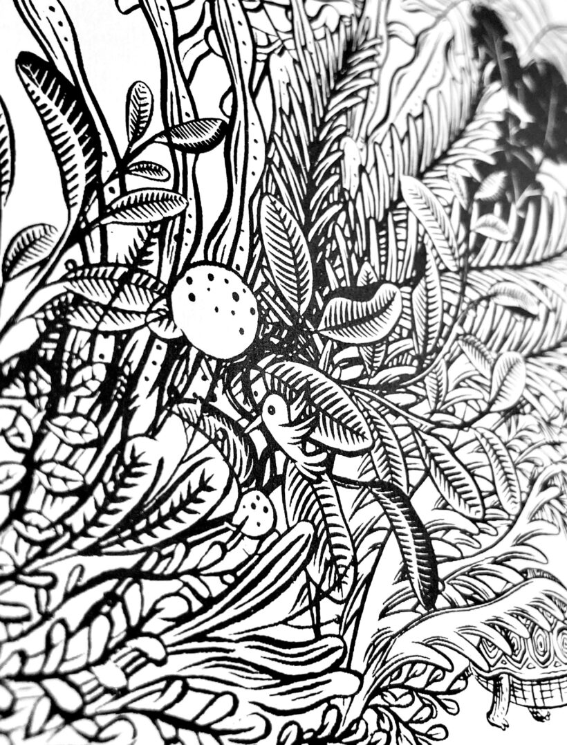 zorro vegetal | Ramón París