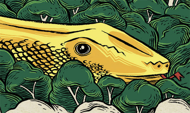 Árbol de la vida| Illustrations by Ramón París