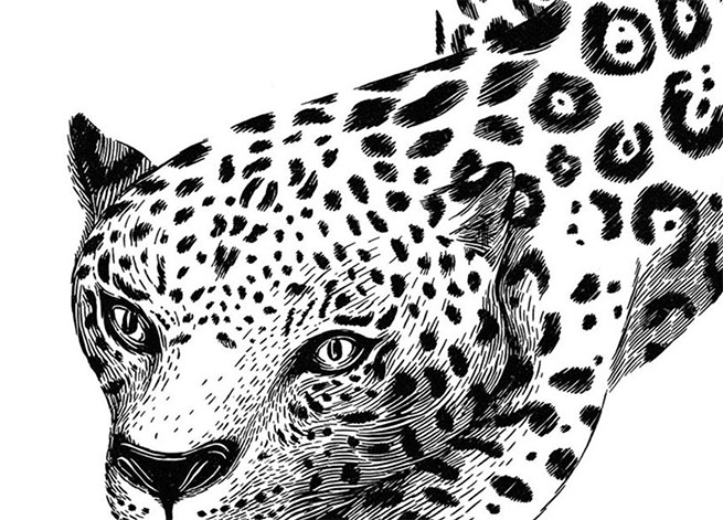 big cats screenprinting by Ramón París