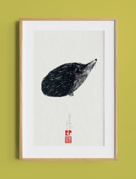 Hedgehog screenprint | Ramón París