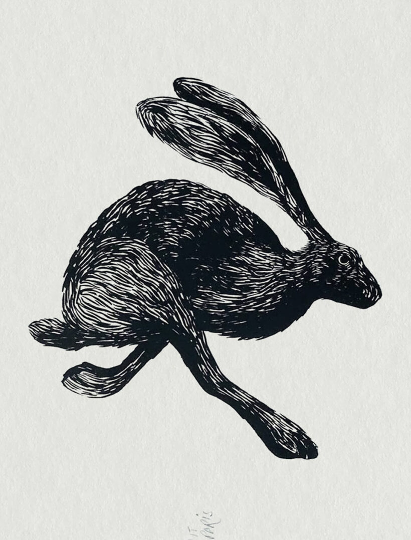 Black Rabbit | Screenprint | Ramón París