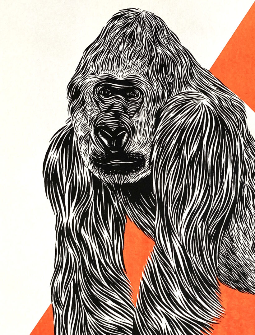 Gorilla | Ramón París